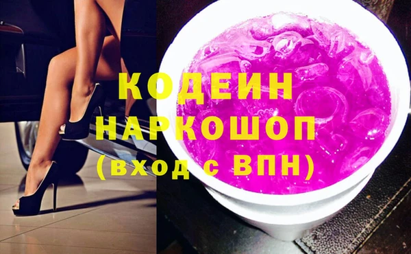 прущие грибы Гвардейск