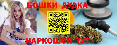 спиды Гатчина