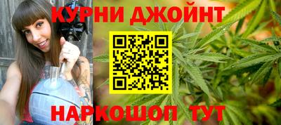 спиды Гатчина