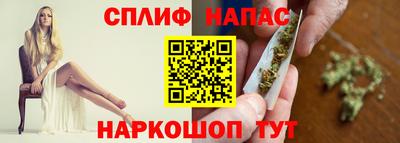 спиды Гатчина