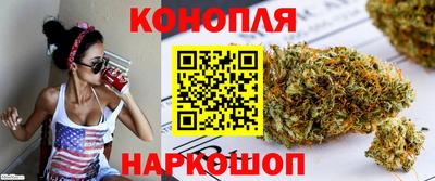 спиды Гатчина