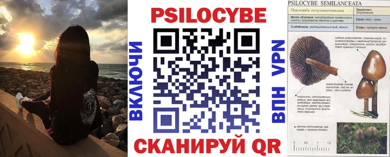 ссылка на мегу ONION  Мурино  Галлюциногенные грибы Psilocybe 