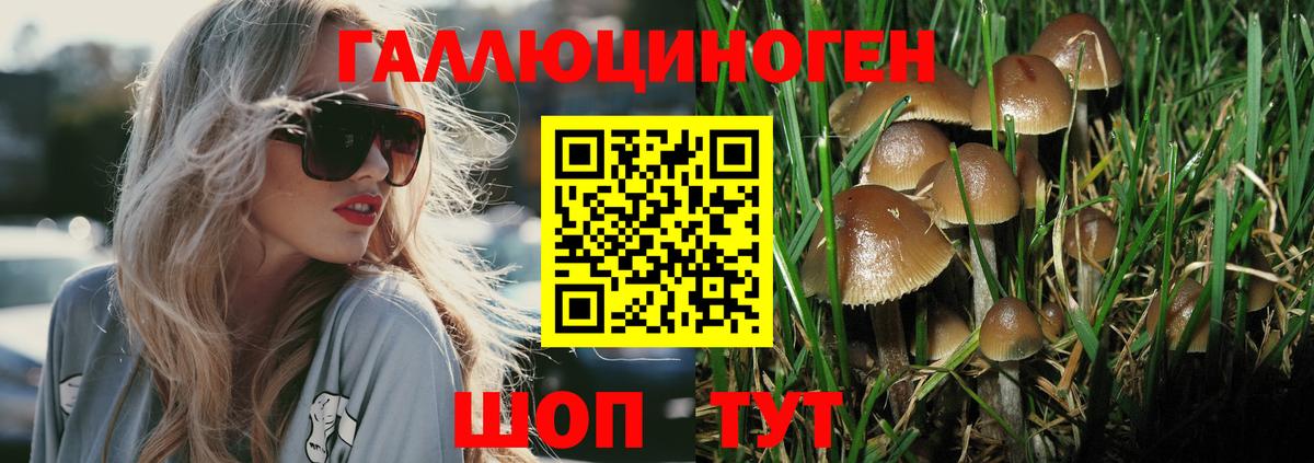 Мурино  Псилоцибиновые грибы Cubensis  Вход с VPN  закладка  Галлюциногенные грибы GOLDEN TEACHER 