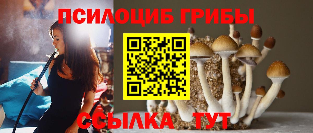Псилоцибиновые грибы мухоморы Мурино