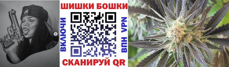 продажа наркотиков Мурино Бошки марихуана сатива